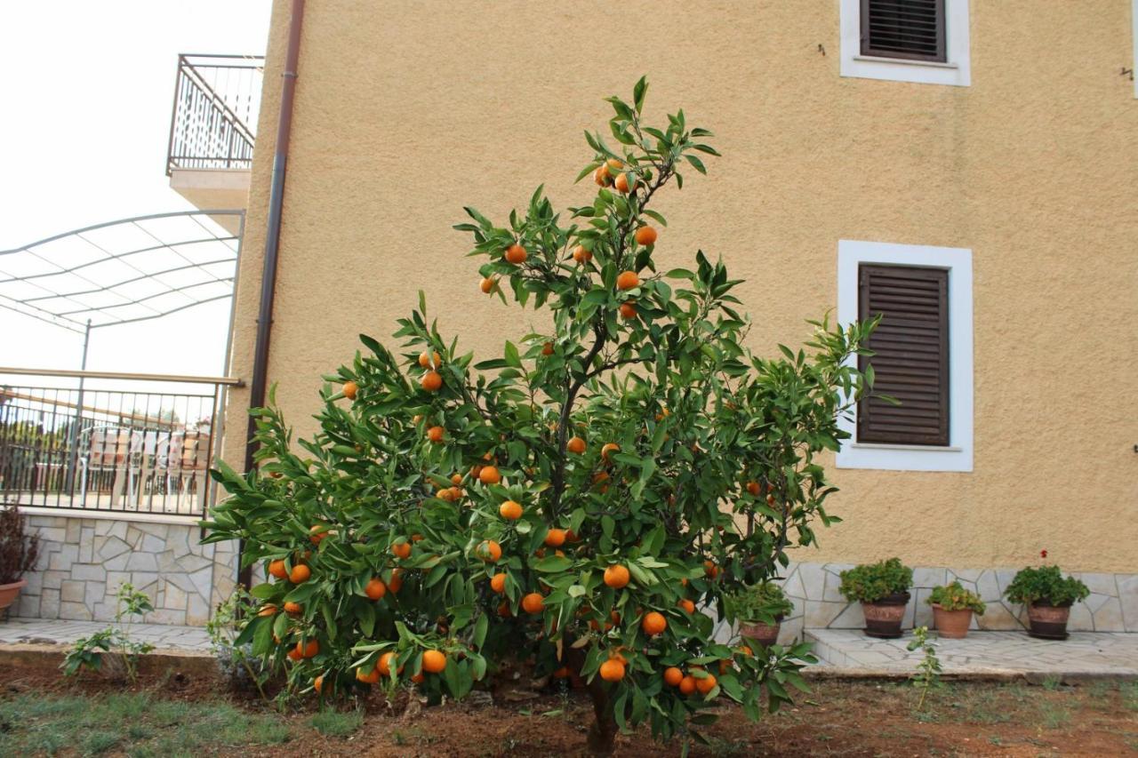 Lily'S Lovely Apartments Fažana Εξωτερικό φωτογραφία